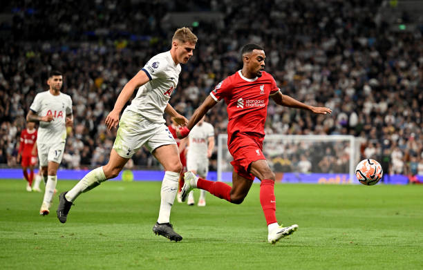 新鲜的视角 新鲜的视角